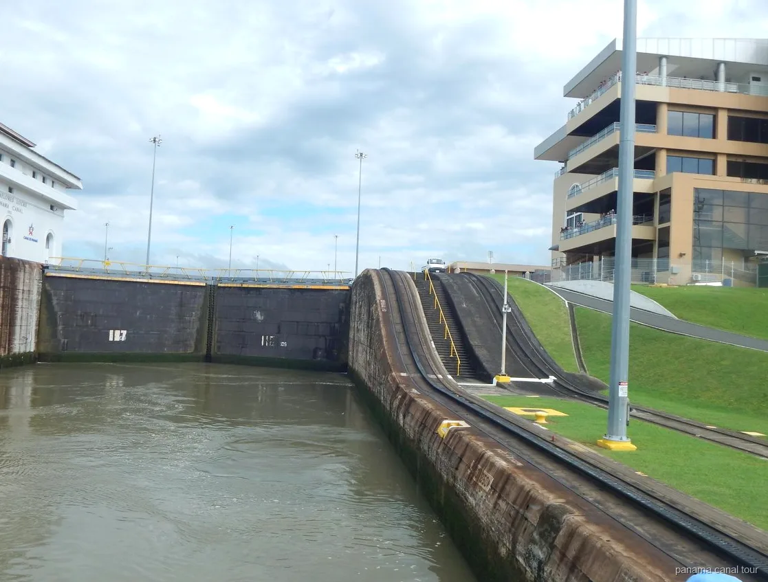 Fauna del Lago Gatún avistada durante un tour en barco del Canal de Panamá