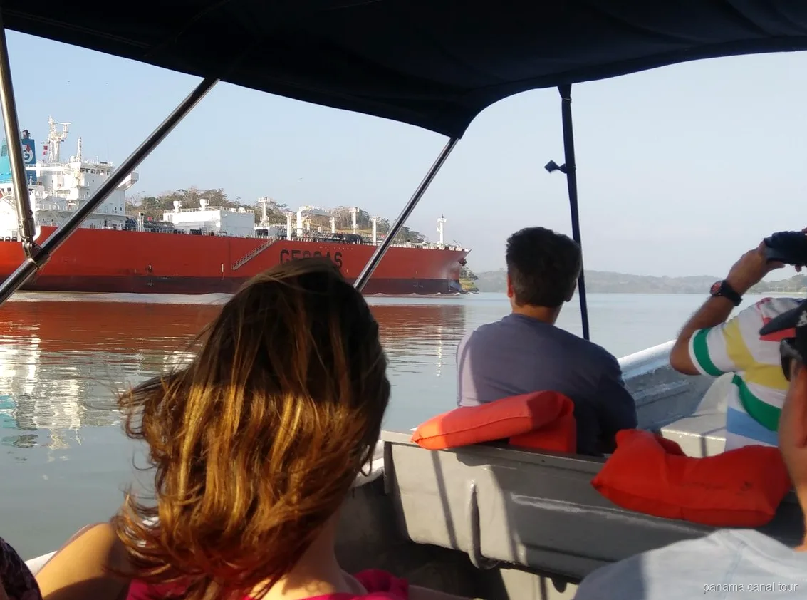 Bewaldetes Ufer des Gatún-Sees nahe der Affeninsel am Panamakanal